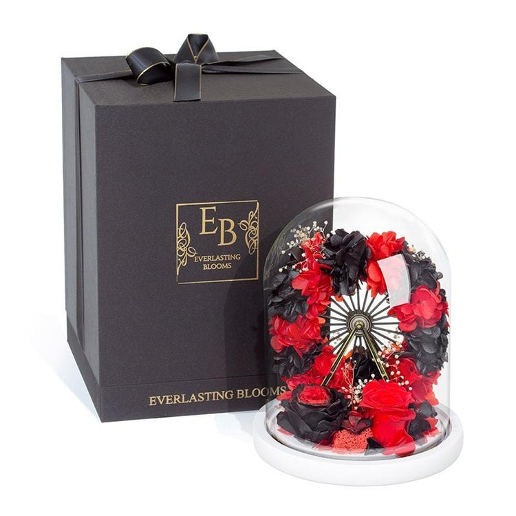 My Ferris Wheel RB Dome with LED.