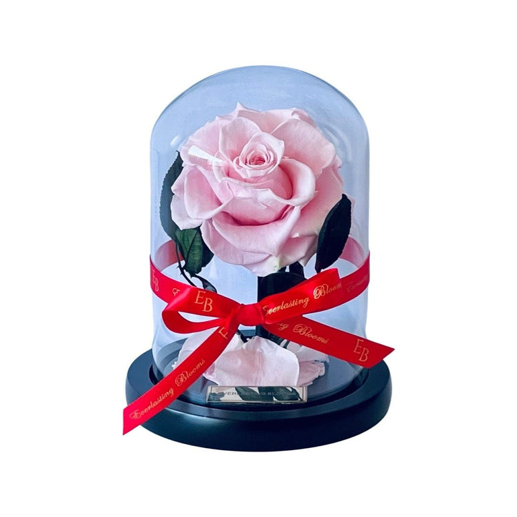 The Mini Everlasting Rose - Sakura Pink.