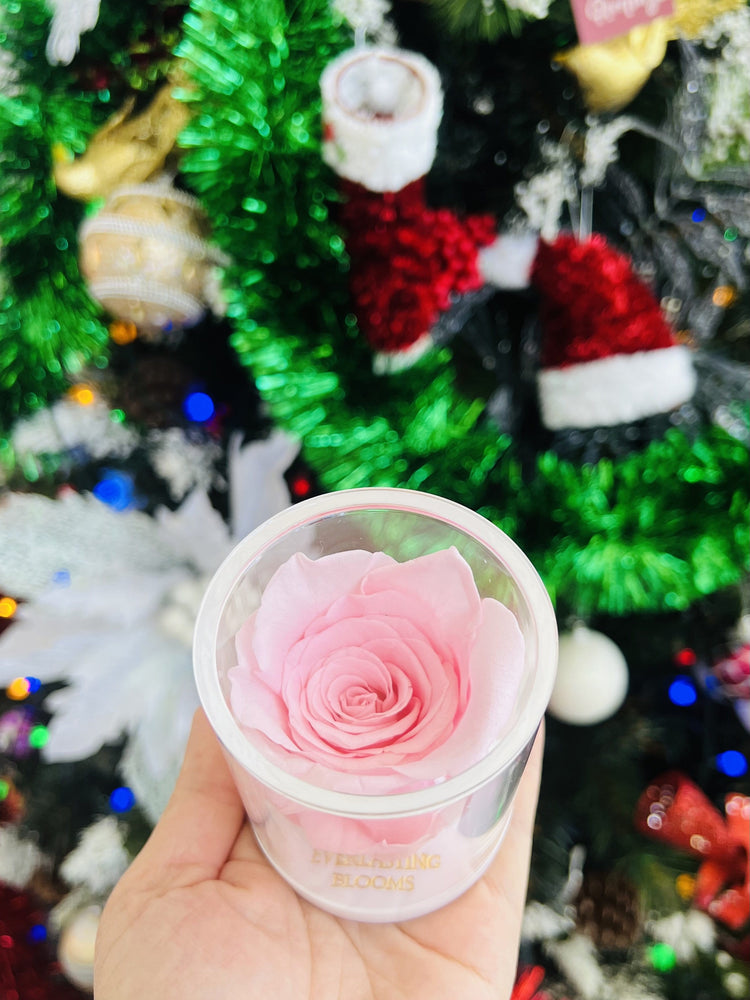 Twelve Days Of Love Notes.