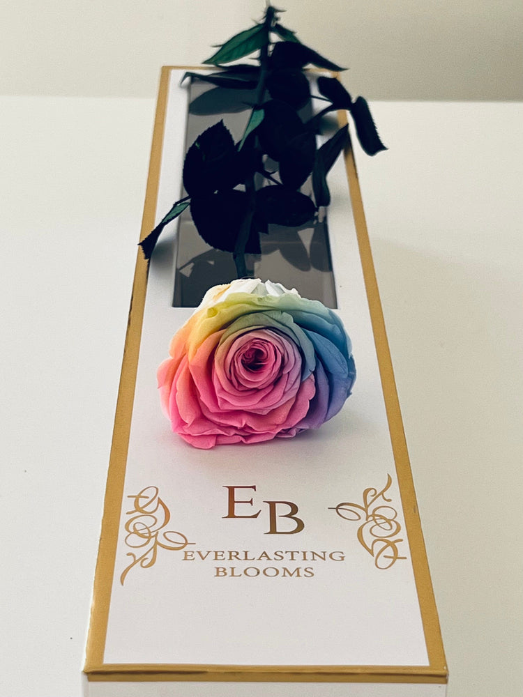 Long Stem rose with white hat box - Rainbow.