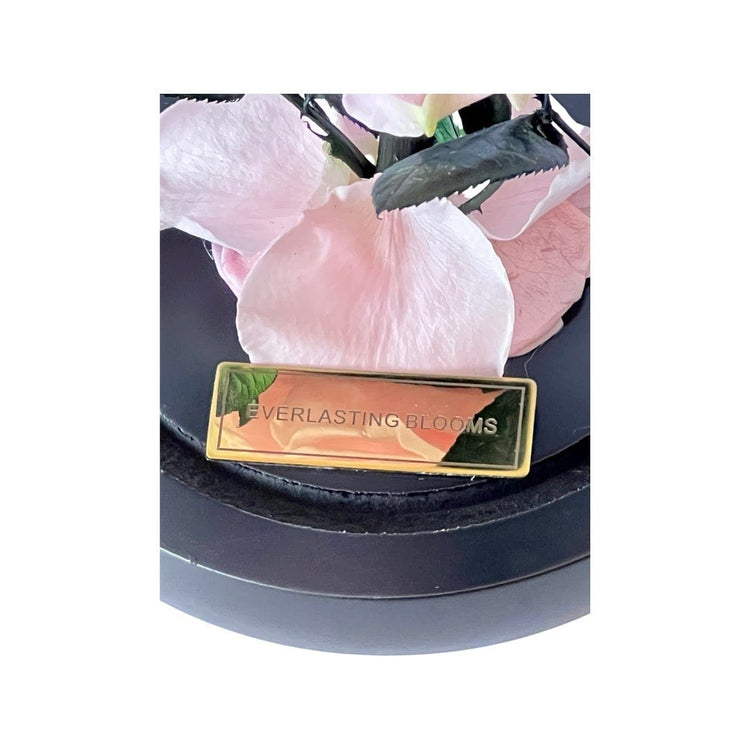 The Mini Everlasting Rose - Sakura Pink.