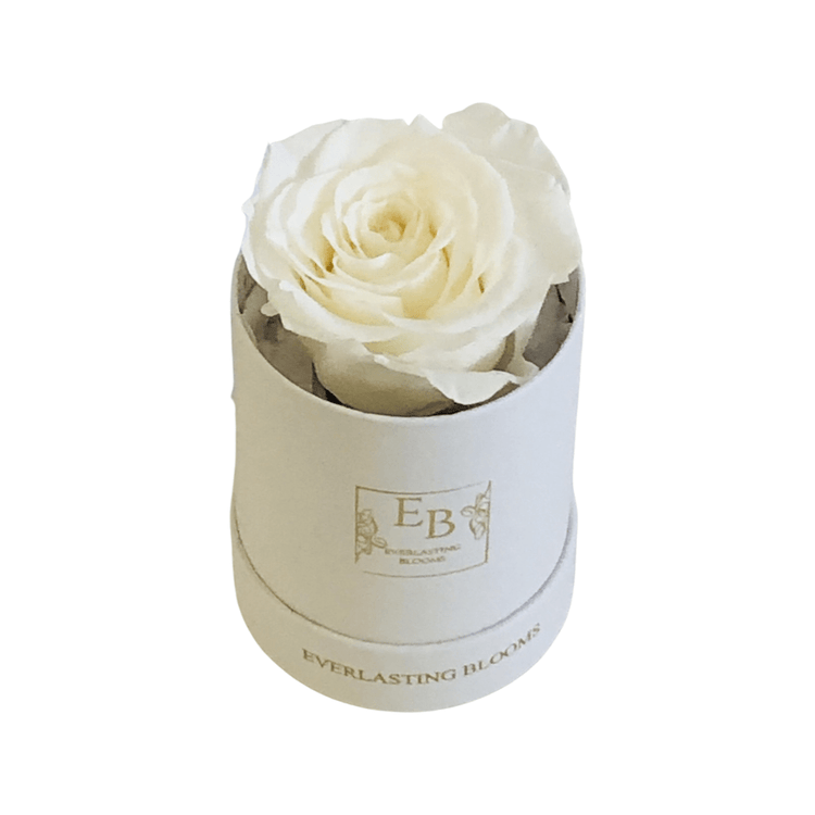 Le Mini Round Rose - White.