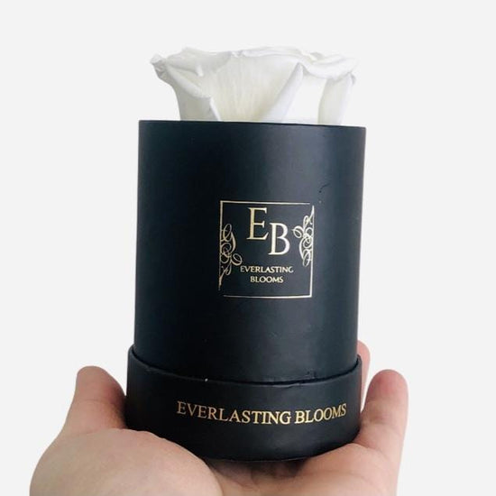 The Classic Bundle Set - White.