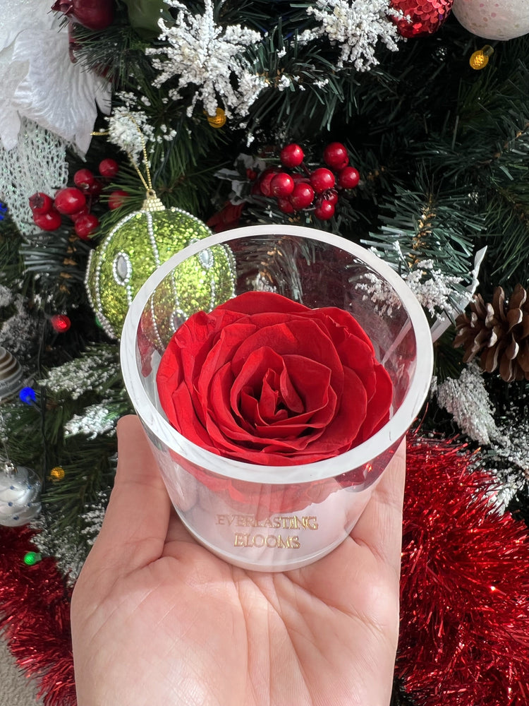 My EB Rose.