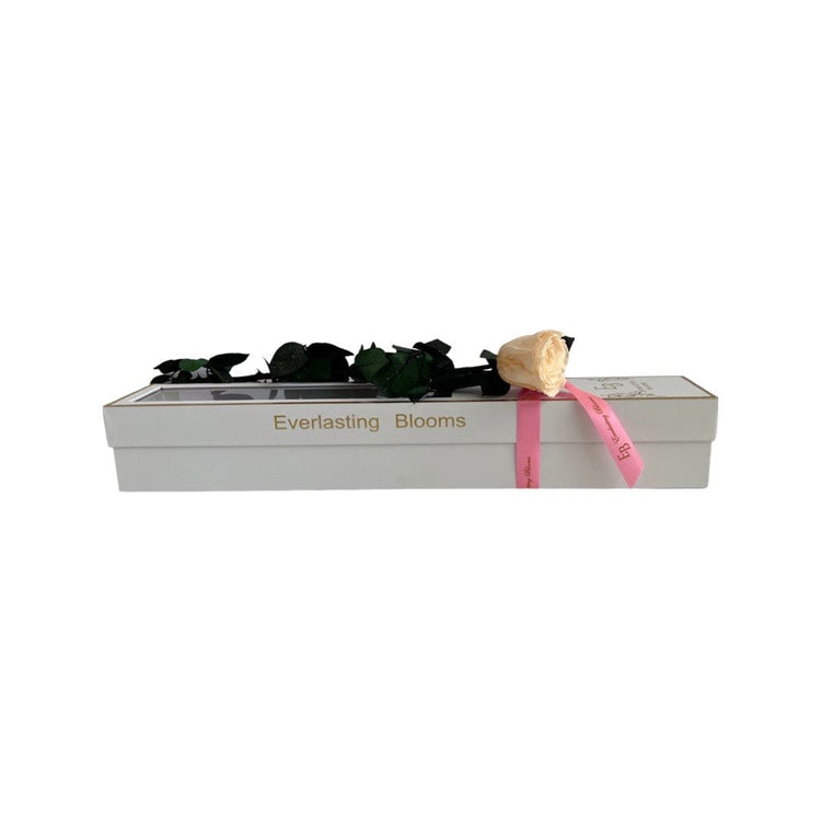Long Stem rose with white hat box - Champagne.