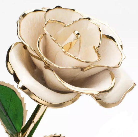 24K Gold dipped Rose Dome - Everlasting Blooms Vic