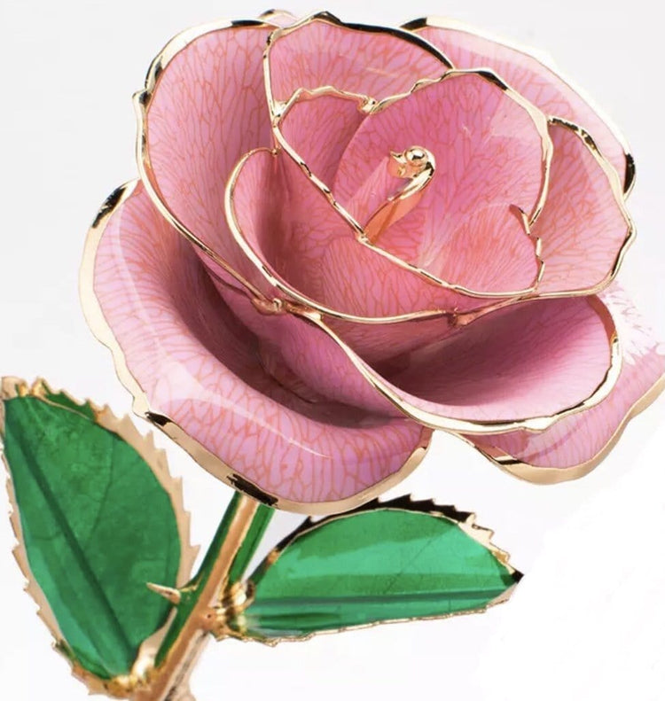 24K Gold dipped Rose Dome - Everlasting Blooms Vic