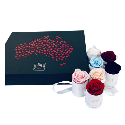 7 Love St Australia Bundle Set - Everlasting Blooms Vic