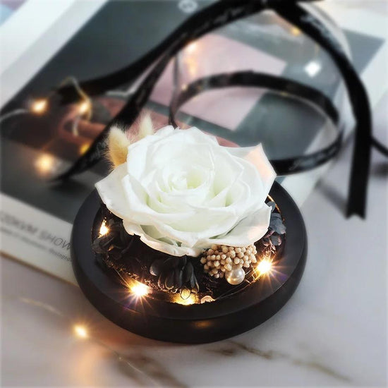 Angelic Rose Dome with LED - Everlasting Blooms Vic