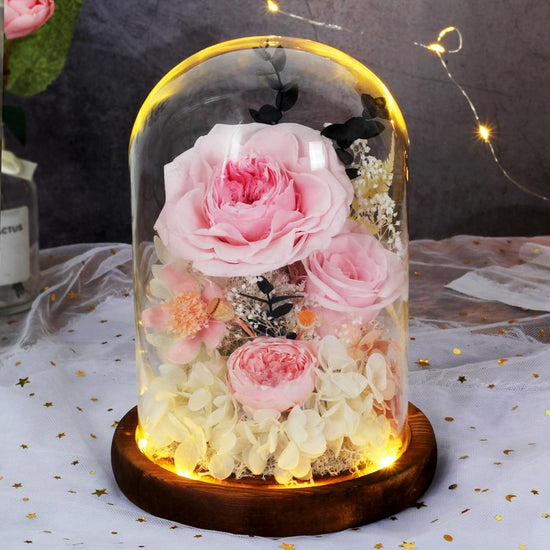 Austin Rose Dome with LED - Everlasting Blooms Vic