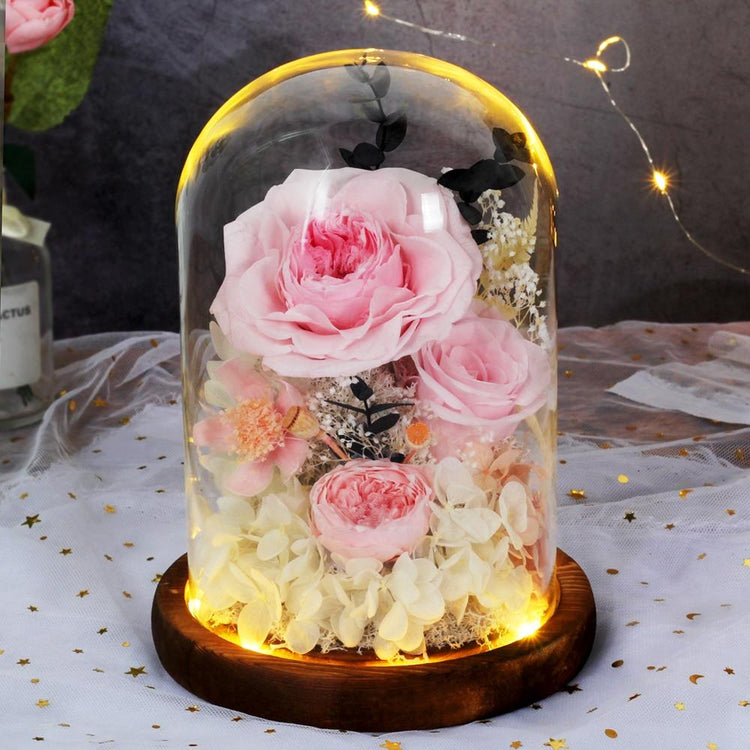 Austin Rose Dome with LED - Everlasting Blooms Vic