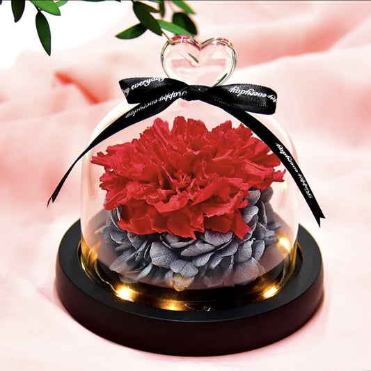 Belmore Carnation Dome with LED - Everlasting Blooms Vic