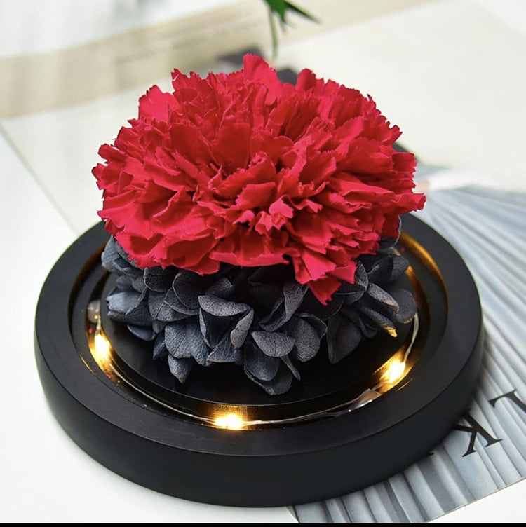 Belmore Carnation Dome with LED - Everlasting Blooms Vic