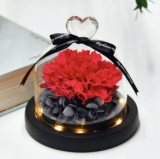 Belmore Carnation Dome with LED - Everlasting Blooms Vic