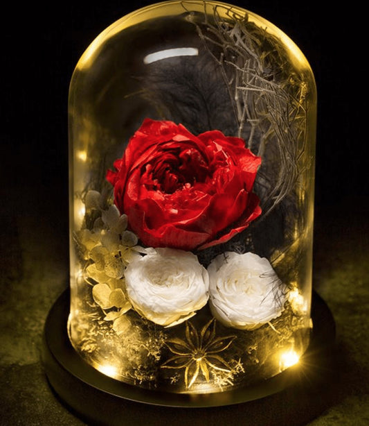 Enchantment Rose Dome with LED - Everlasting Blooms Vic