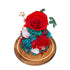 Eternal Blooms Rose Dome with LED - Everlasting Blooms Vic