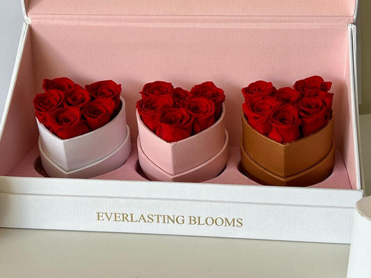 Le Mini Heart Bundle Sets - Red - Everlasting Blooms Vic