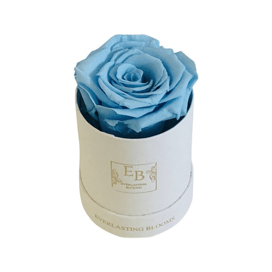 Le Mini Round Rose - Blue - Everlasting Blooms Vic