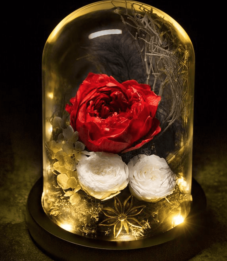 Enchantment Rose Dome with LED.