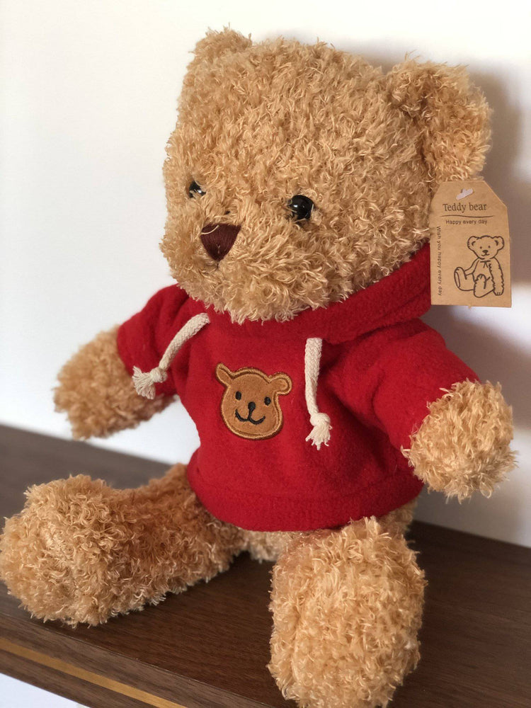 Plush Teddy Bear.