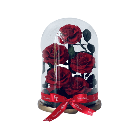 The Everlasting Rose Garden - Red.