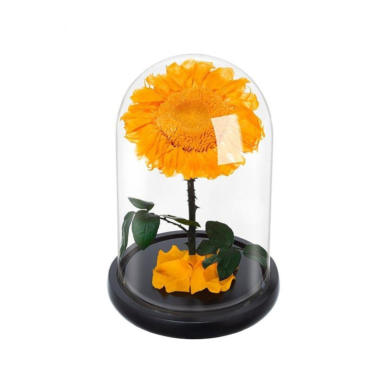 Sunflower Rose Dome with LED.
