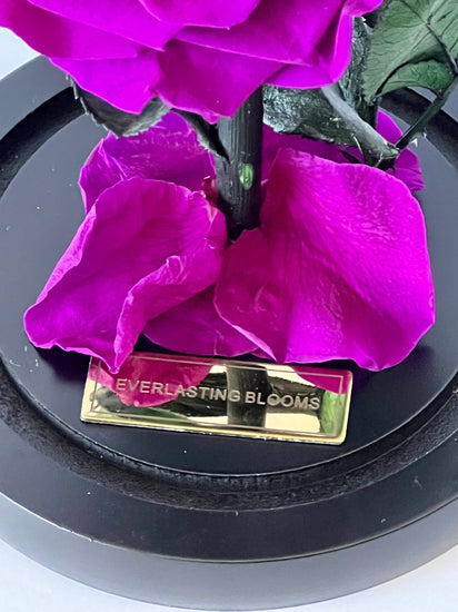 The Mini Everlasting Rose - Purple Queen.