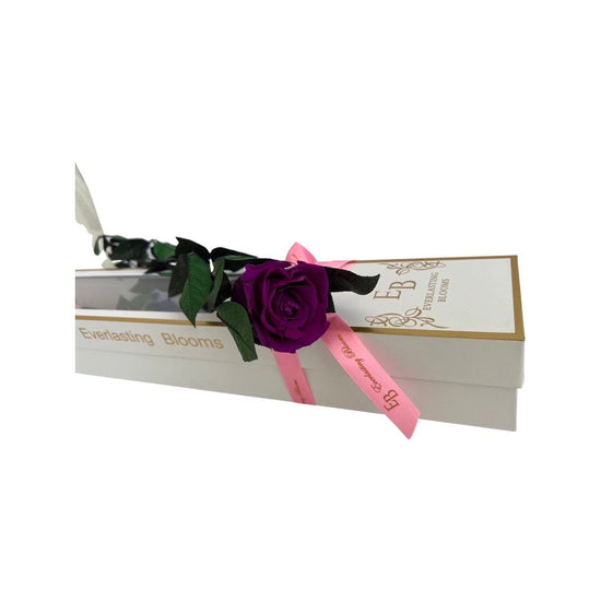 Long Stem rose with white hat box - Purple Queen.
