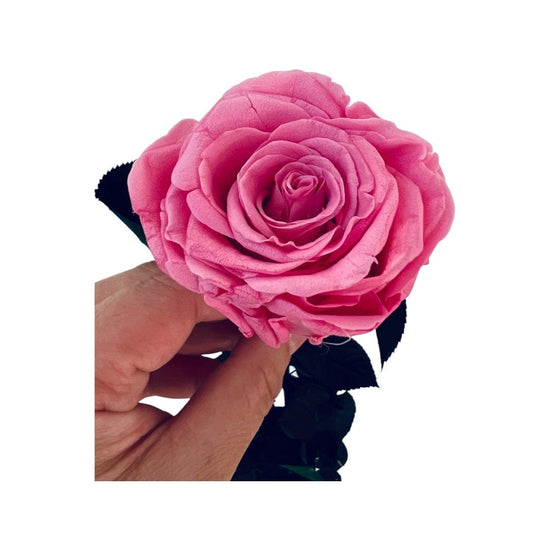Long Stem rose with white hat box - Sakura Pink.