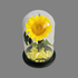 The Everlasting Sunflower.