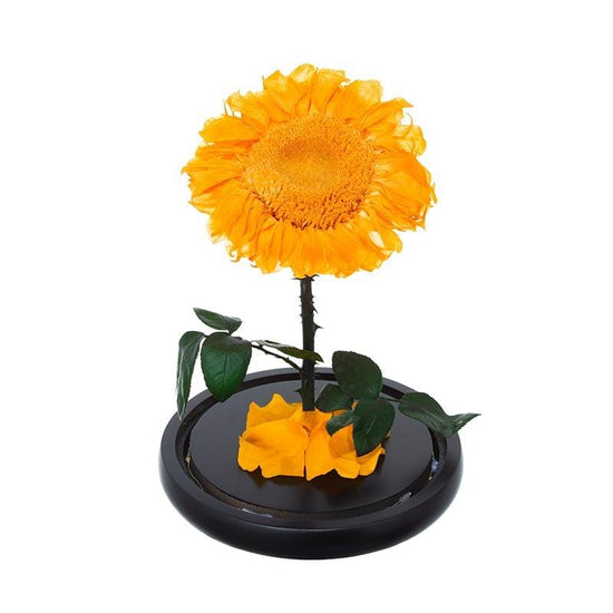 Sunflower Rose Dome with LED.