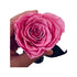 Long Stem rose with white hat box - Sakura Pink.