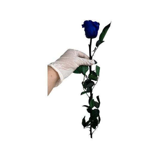 Long Stem rose with white hat box - Royal Blue.