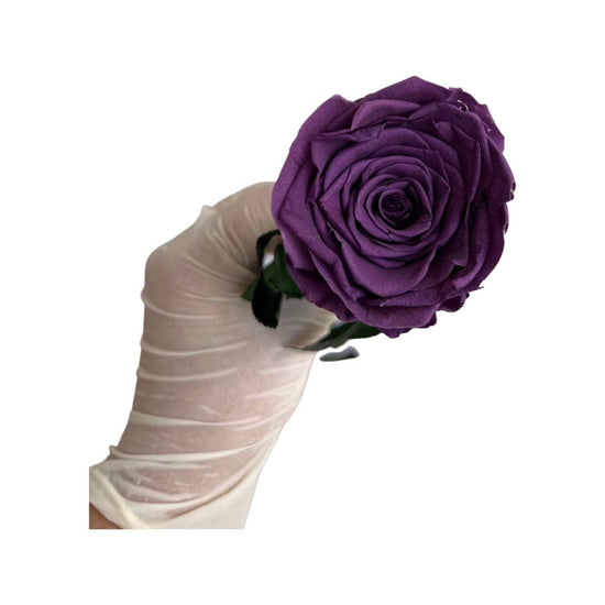 Long Stem rose with white hat box - Violet.