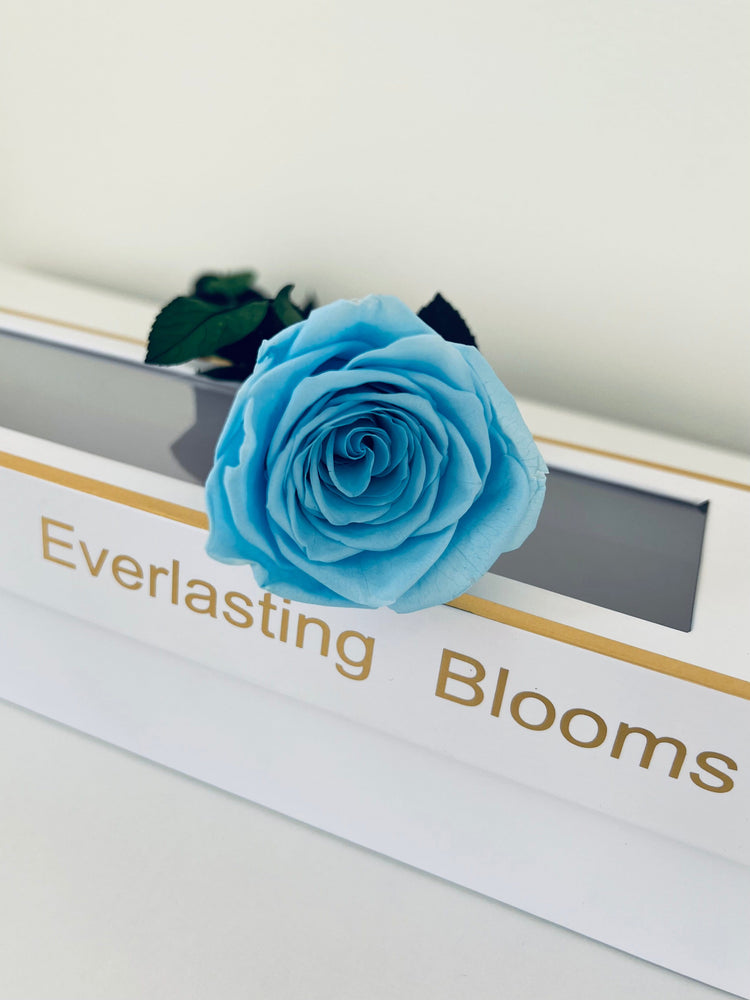 Long Stem rose with white hat box - Sky Blue.