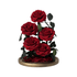 The Everlasting Rose Garden - Red.