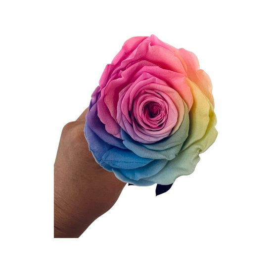 Long Stem rose with white hat box - Rainbow.