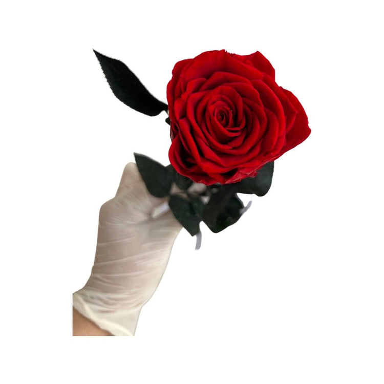 Long Stem rose with white hat box - Red.