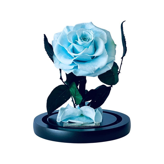 The Mini Everlasting Rose - Sky Blue.