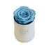 Le Mini Round Rose - Blue.