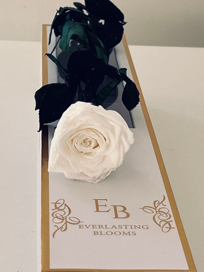 Long Stem rose with white hat box - White.