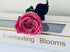 Long Stem rose with white hat box - Sakura Pink.