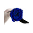 Long Stem rose with white hat box - Royal Blue.