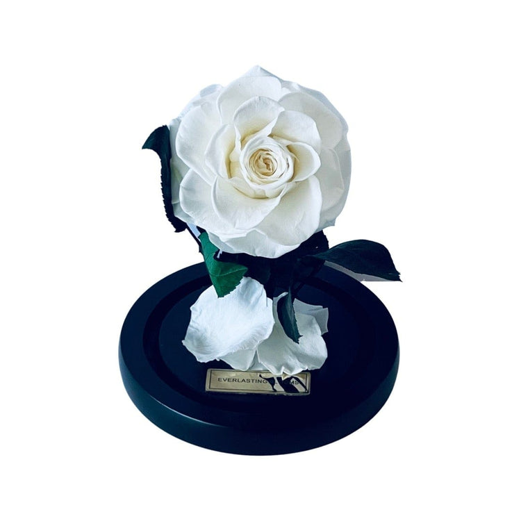 The Mini Everlasting Rose - White.