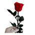 Long Stem rose with white hat box - Red.