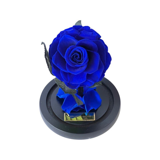The Mini Everlasting Rose - Royal Blue.