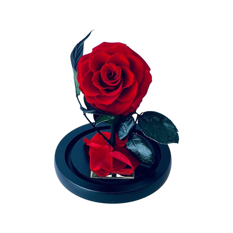 The Mini Everlasting Rose - Red.